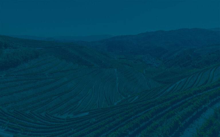 ISM Colónia 2025 - Foto 8