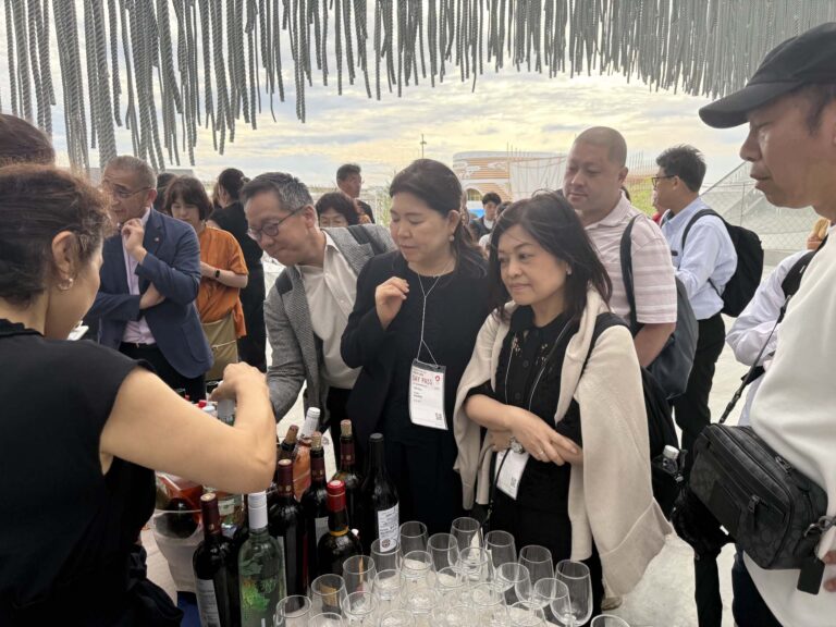 Expo Osaka 2025 - Foto 11